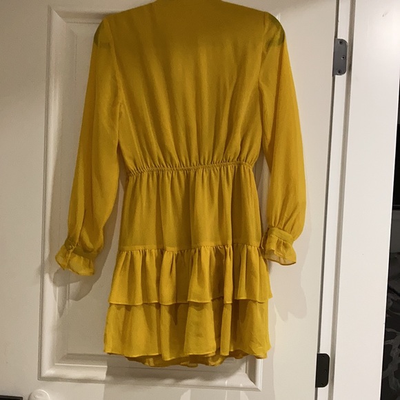 BB Dakota Yellow Dress - Picture 6 of 6